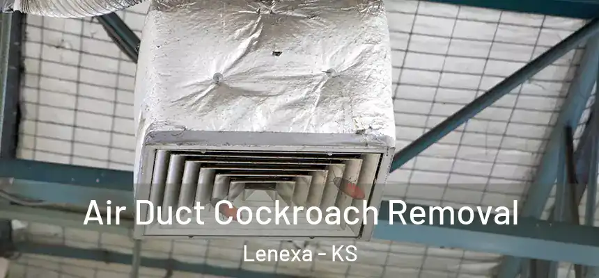  Air Duct Cockroach Removal Lenexa - KS