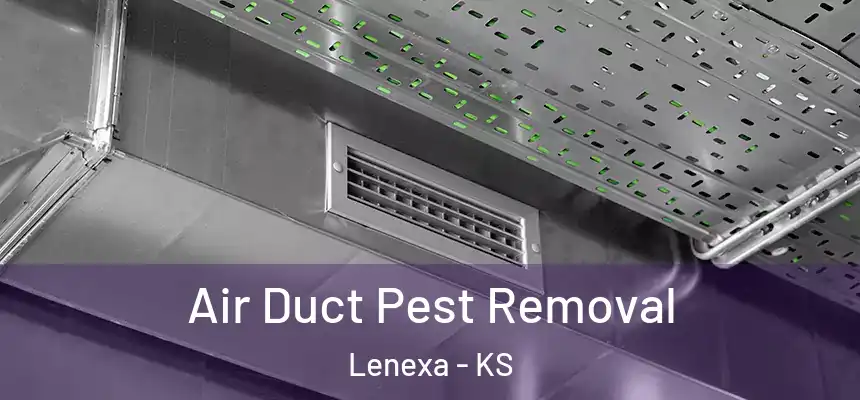  Air Duct Pest Removal Lenexa - KS