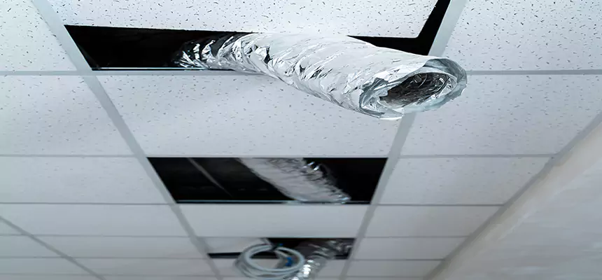 Our Air Duct Pet Hair Removal Services in Lenexa, KS