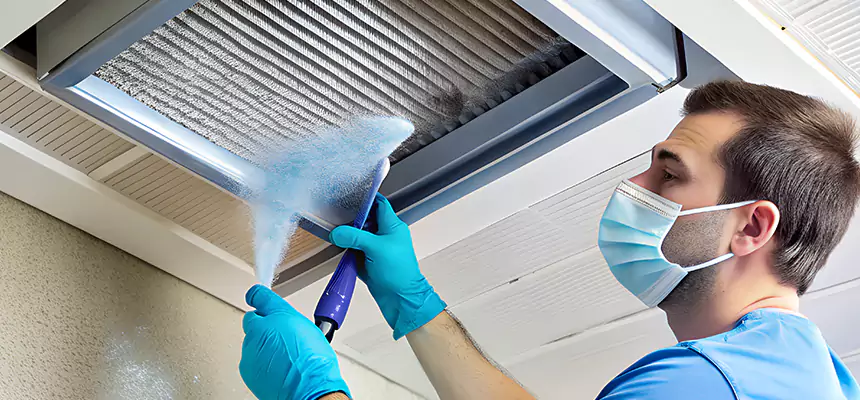 Proactive Dryer Vent & Auxiliary Duct Pollen Cleanup in Lenexa, KS