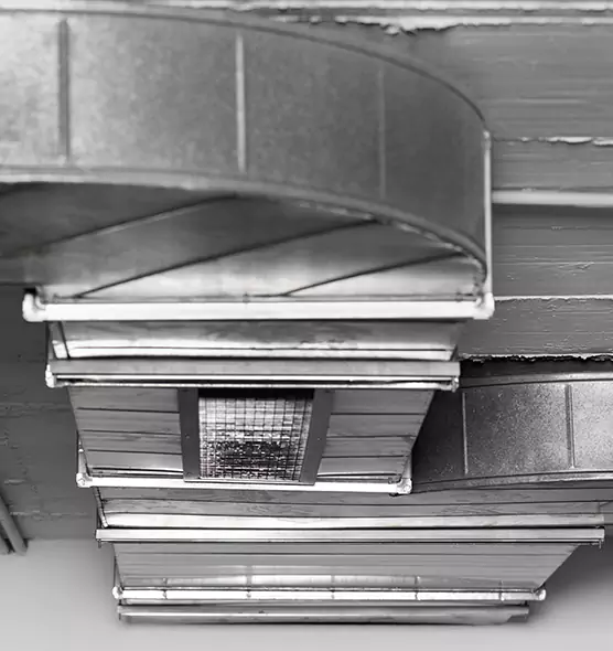 Professional Air Duct Pest Removal in Lenexa, KS