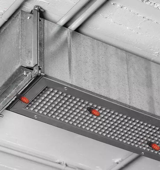 Affordable Insect Removal from Air Ducts in Lenexa, KS