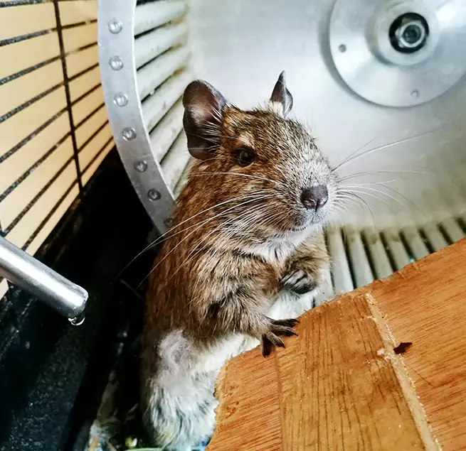 Why Homeowners & Businesses Trust Us Lenexa, KS?